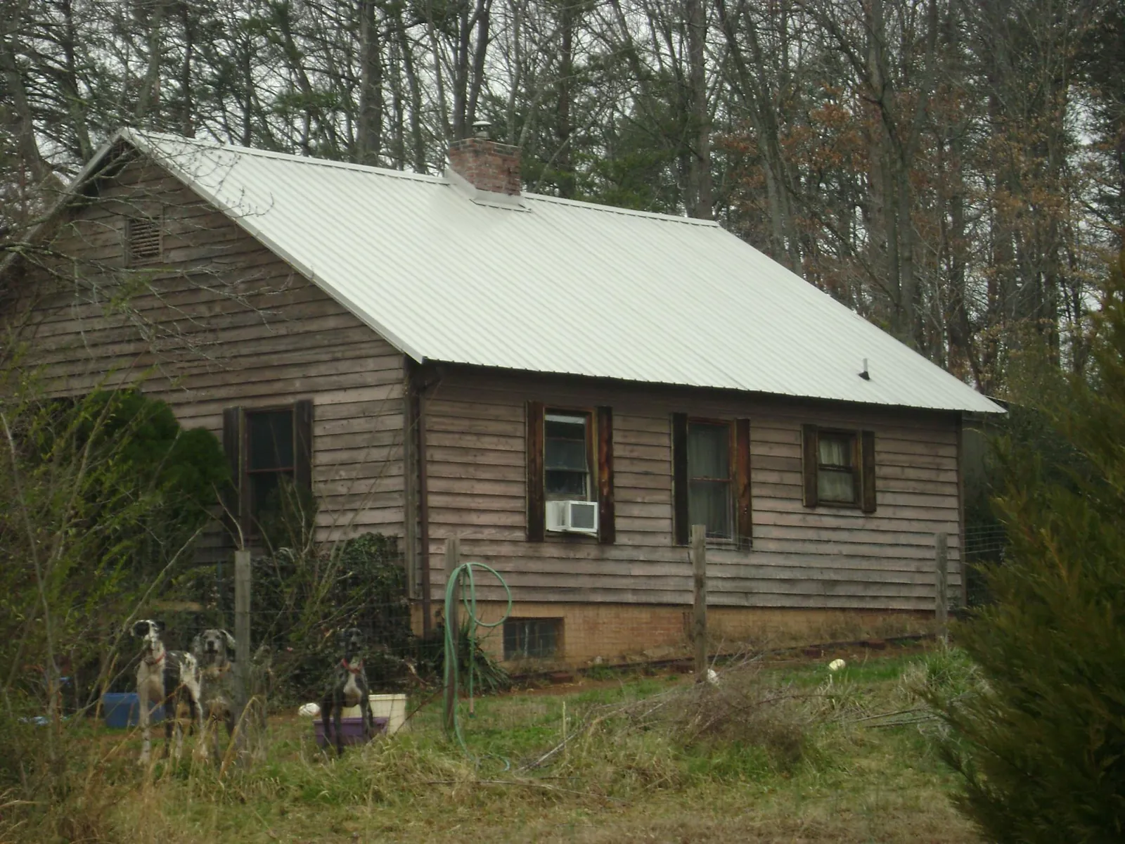 White metal roof on an old wood sided farmhouse in Soda Springs